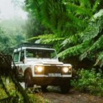 Priv. East: 4x4 Tour|Pico do Areeiro|Santana Typical Houses| - Final Thoughts
