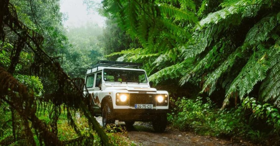 Priv. East: 4x4 Tour|Pico do Areeiro|Santana Typical Houses| - Final Thoughts