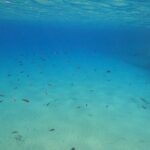Private 1-Hour Guided Snorkeling Adventure with Go Pro Pictures - Why This Tour Offers Great Value