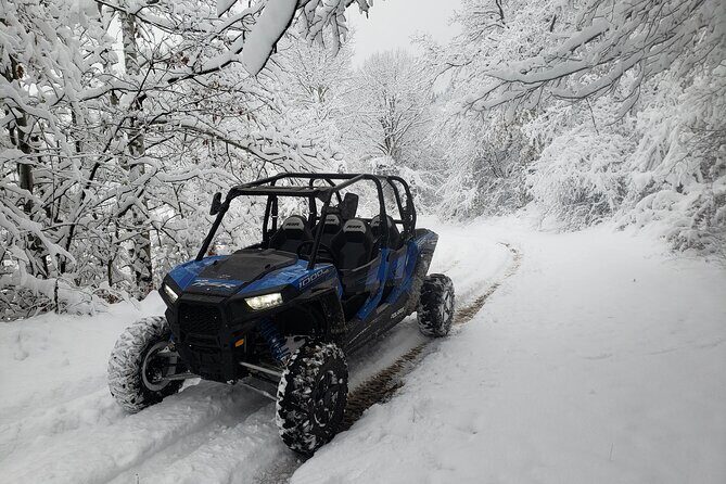 Private 1-Hour Quad or Buggy Safari in Borovets - Authentic Experiences and What Travelers Say