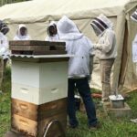 Private 2-Hour Beekeeping Classroom Tour in Honokaa - The Classroom Introduction