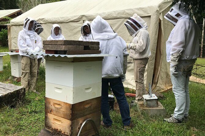 Private 2-Hour Beekeeping Classroom Tour in Honokaa - The Classroom Introduction