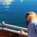 Private 2 hour Dolphin Sightseeing tour- Melbourne - The Sum Up