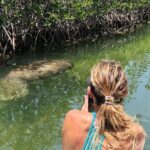 Private 2 hour Mangrove Ecotour - Final Thoughts: Is It Worth It?