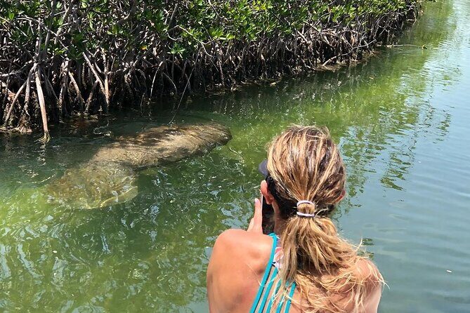 Private 2 hour Mangrove Ecotour - Final Thoughts: Is It Worth It?