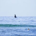 Private 2 hour Surf Lessons with Experienced Coaches - A Complete Look at Maui Surfer Girls’ Private Surf Lessons