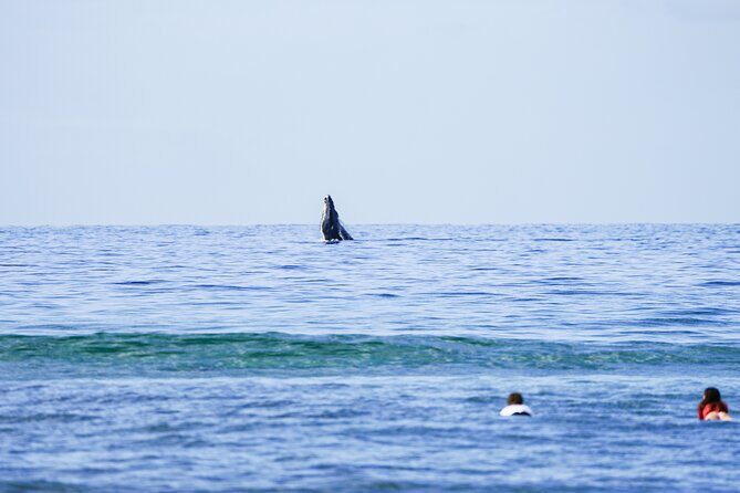 Private 2 hour Surf Lessons with Experienced Coaches - A Complete Look at Maui Surfer Girls’ Private Surf Lessons