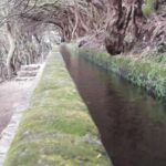 Private - 25 Fontes and Risco Waterfall Guided Tour - Breaking Down the Experience