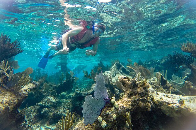 Private 3 in 1 Discovery Combo Tours Tulum Ruins, Snorkeling & Cenotes Adventure - The Sum Up: Is This Tour Right for You?