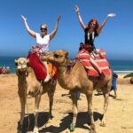 Private 4-Hour Tangier Tour - The Strategic Fortifications: The Kasbah and its Stories