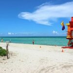 Private 4-hours City Tour of Miami from Miami Airport with private driver/guide - A Deep Dive into Your 4-Hour Miami Experience