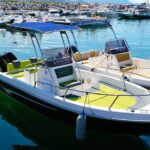 Private 40hp Boat Tour of the Amalfi Coast and Positano - Who Will Love This Tour?
