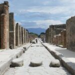 Private 6h Tour to Pompei and Ercolano with Port or Hotel pick-up - The Convenience of Door-to-Door Luxury Travel
