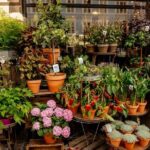 Private 90-Minute Walking Tour in Stockholm - The Value of This Tour