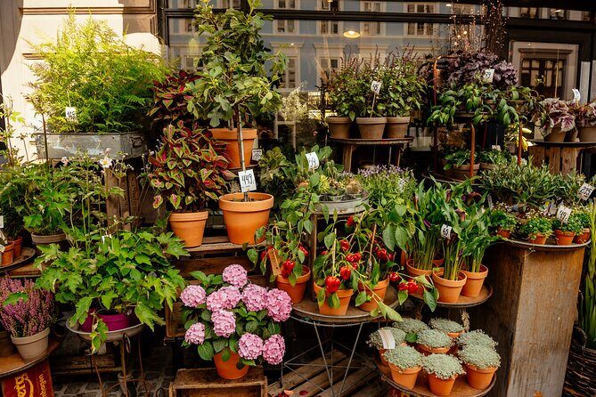 Private 90-Minute Walking Tour in Stockholm - The Value of This Tour