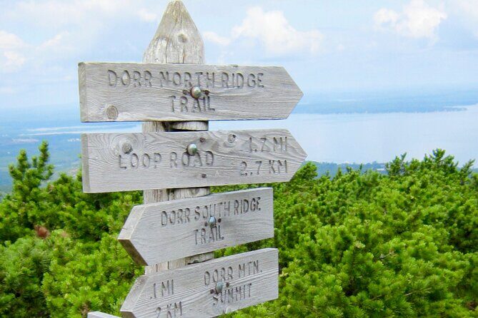 Private Acadia & Mount Desert Island Tour (full day, six hours) - Who Will Love This Tour?