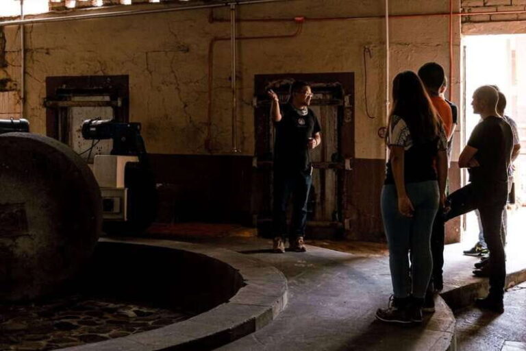 Private Adventure to Tequila and el Cascahuin Distillery - A Closer Look at the Tour Itinerary