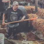 Private Adventure to Tequila and la Fortaleza Distillery - The Breakdown of the Itinerary