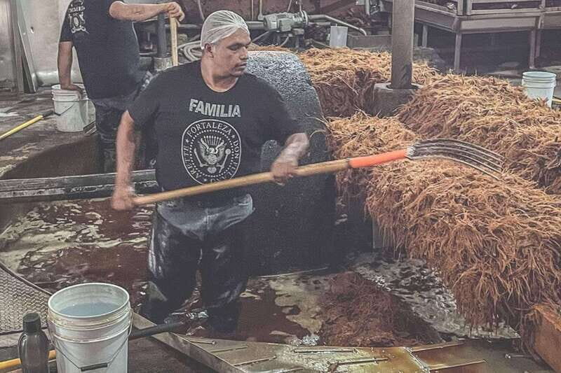 Private Adventure to Tequila and la Fortaleza Distillery - The Breakdown of the Itinerary