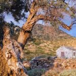 Private Aegina Island Tour with a Local Certified Guide - Who Will Love This Tour?