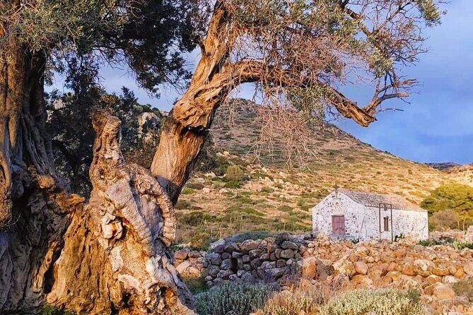 Private Aegina Island Tour with a Local Certified Guide - Who Will Love This Tour?