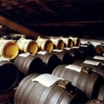 Private Afternoon Tour in Historic Acetaia and Ferrari Museum - Who Will Love This Tour?