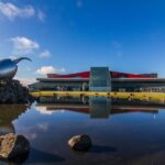 Private Airport - Blue Lagoon - Reykjavík - Deep Dive into the Itinerary and Experience