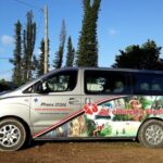 Private Airport Transfer: Port Vila Airport to Hotel - Why Choose This Transfer?