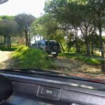 Private Algarve Tour with Typical Lunch, pax min. 2. - Who Should Book This Tour?