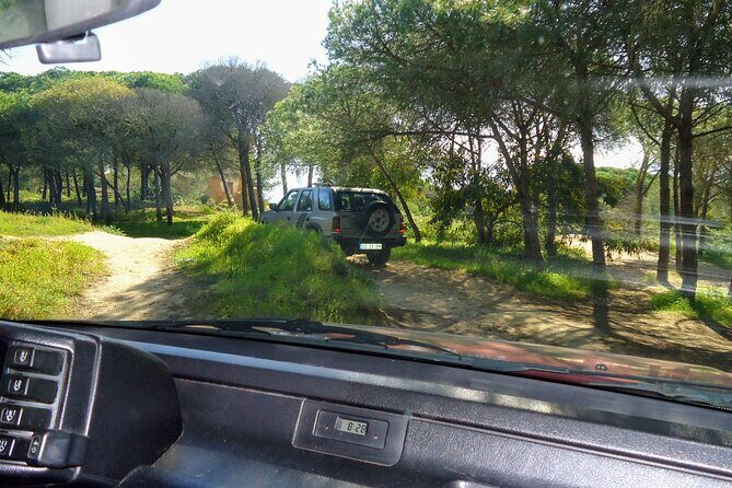 Private Algarve Tour with Typical Lunch, pax min. 2. - Who Should Book This Tour?