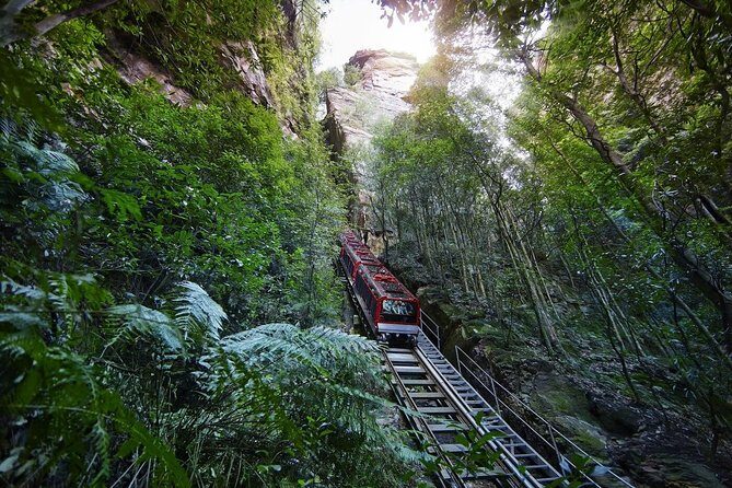 Private All Blue Mountains Day Tour - FAQs