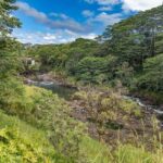Private - All Inclusive Big Island Waterfalls Tour - Who Should Consider This Tour?
