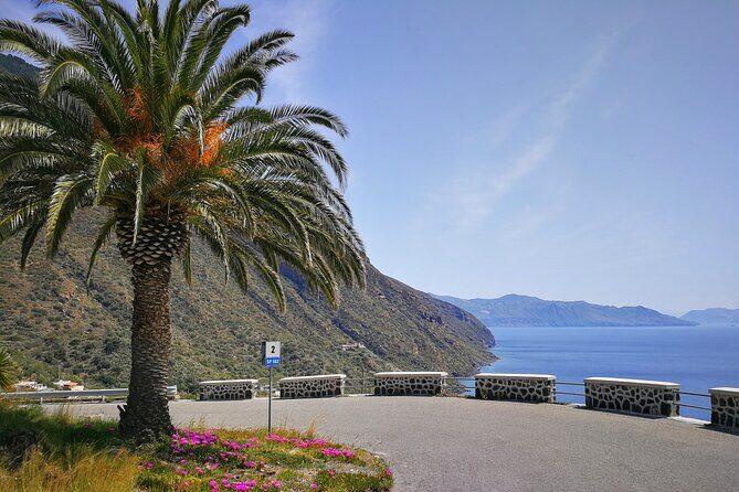 Private and guided tour of Salina: Discovering the Green Island - Pricing and Value