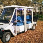 Private Appian Way (Appia Antica) Tour in Rome by Golf Cart - What Travelers Say: Authentic Experiences and Value