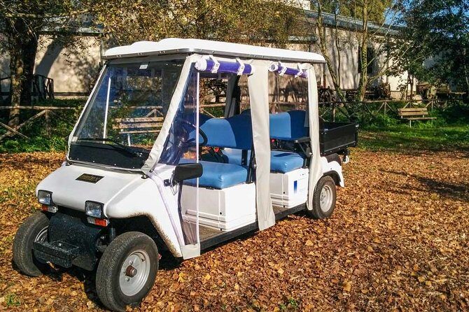 Private Appian Way (Appia Antica) Tour in Rome by Golf Cart - What Travelers Say: Authentic Experiences and Value