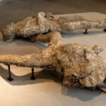 Private Archaeologist service to explore Pompeii's secrets any time ticket incl. - What You Can Expect at Each Stop