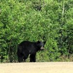 Private Arctic Circle Expedition from Fairbanks - Who Should Consider This Tour?