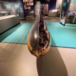 Private Arizona Memorial Bowfin Submarine and Honolulu City Tour - Analyzing the Price and Experience