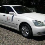 Private Arrival car Transfer: Nadi Airport to Coral Coast Hotels - Why This Transfer Stands Out