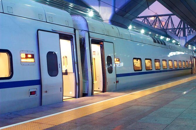 Private Arrival Transfer: Rome Train Station to Hotel - Who will love this service?
