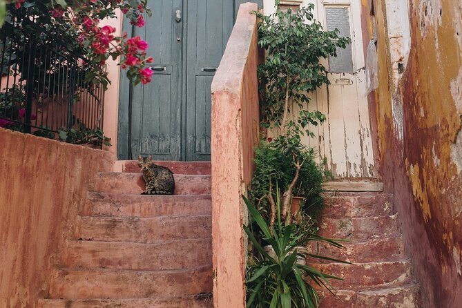 Private Athens Photo Safari Tour - Why Value Matters