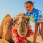 Private ATV and Camel Ride on a White Sand Beach - Why This Tour Works Well