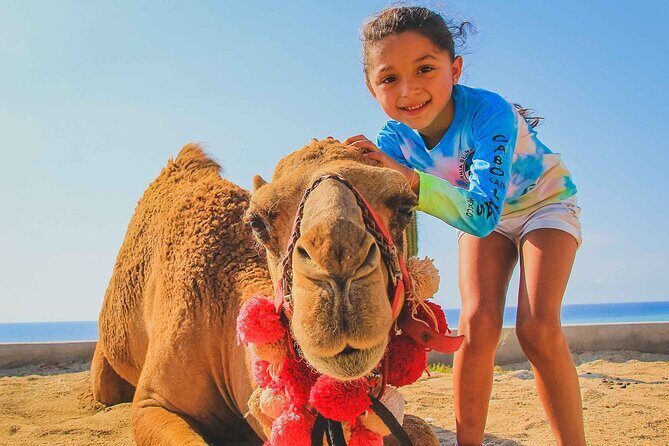 Private ATV and Camel Ride on a White Sand Beach - Why This Tour Works Well
