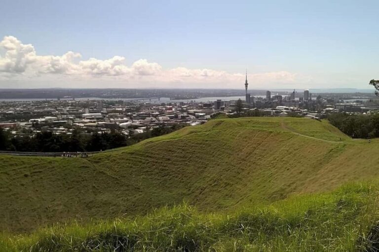 Private Auckland Best Top 5 Spots Half day Tour - A Closer Look at the Itinerary