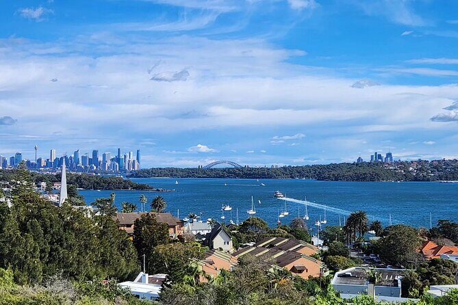 [PRIVATE] Auckland Half Day City Tour - What to Expect from Your Experience