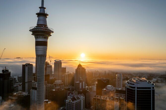 Private Auckland Half Day Tour of Attractions and Museums - The Value of a Private Tour in Auckland