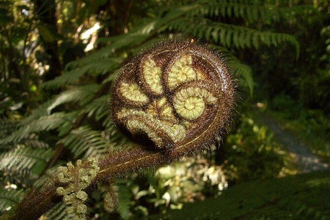 Private Auckland Wine & Dine Matakana Country & Cuisine - Who Is This Tour Best For?