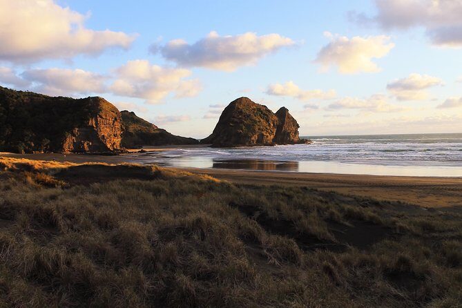 Private Auckland's West Coast - Piha/ Muriwai - Wild West Tour - Who Would Love This Tour?