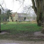 Private audio book city rally around the Rombergpark in Dortmund - An Authentic and Fun Way to Discover Dortmund’s Green Spaces