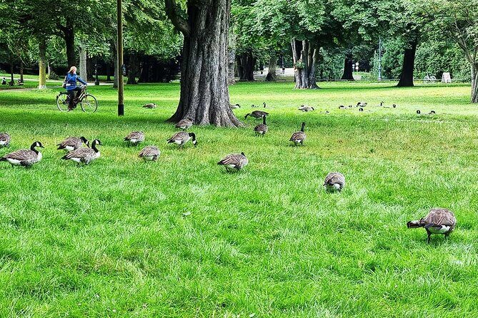 Private audio book city rally in the Volksgarten in Cologne - Exploring the Volksgarten: Cologne’s Ancient Green Space